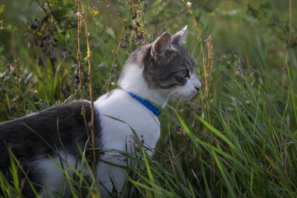 Фотография автора Елена Чурилова