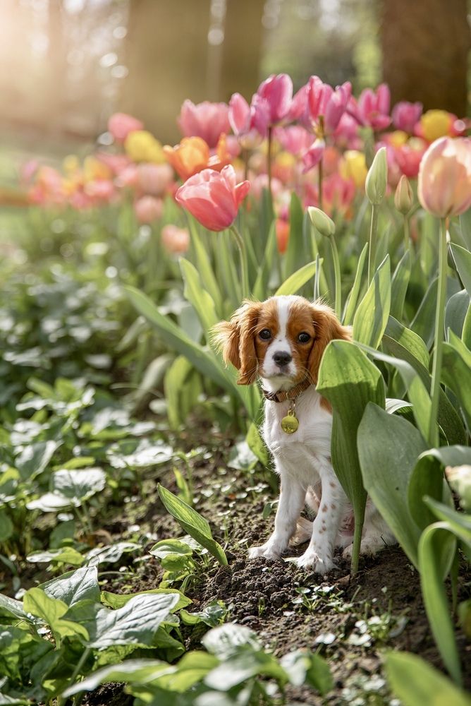 Photograph by Mila Laine