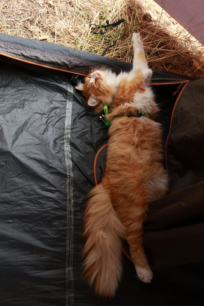 Photograph by Екатерина Ермоленко