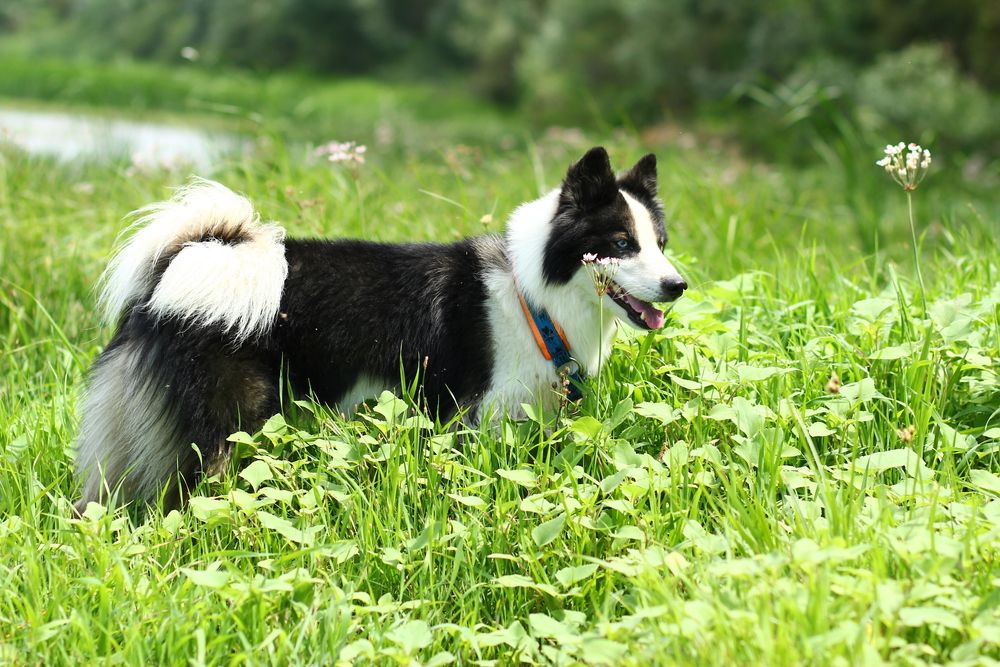 Photograph by Екатерина Ермоленко