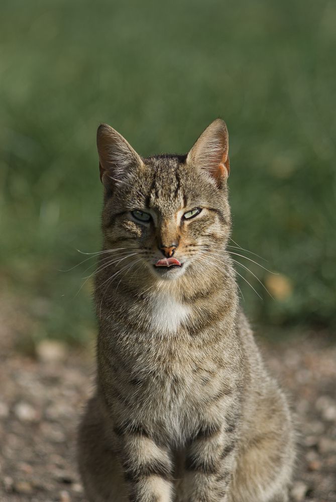 Photograph by Виктория Уварова