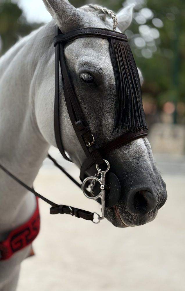 Фотография автора Ираида Гайфуллина