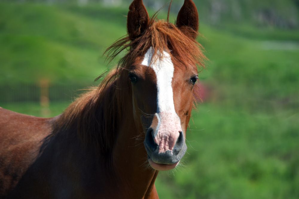 Photograph by Наталья Сорокина