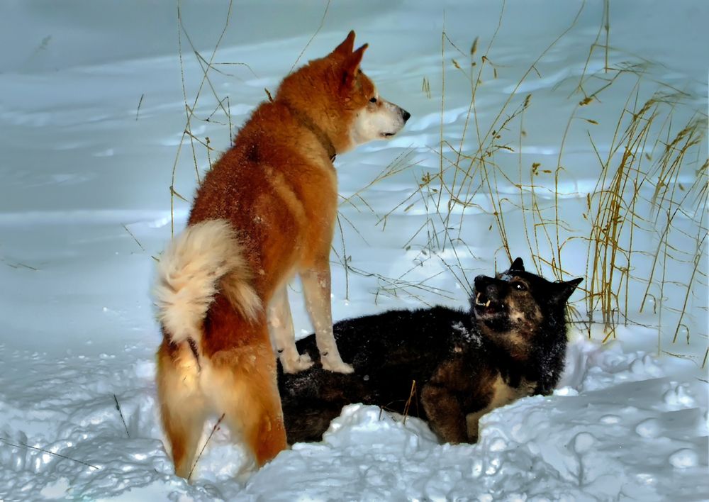 Photograph by Валентин Кузьмин