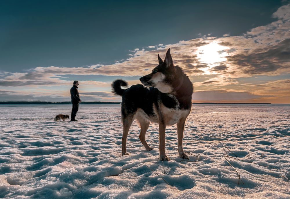 Photograph by Валентин Кузьмин