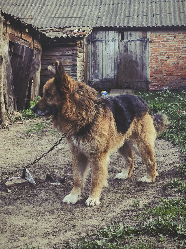 Photograph by Александр Житник