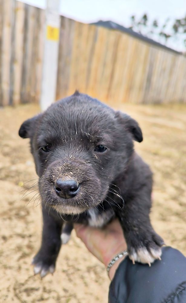 Photograph by Александр Житник