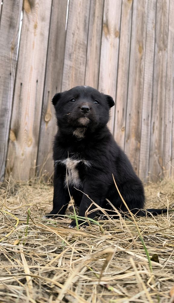 Photograph by Александр Житник