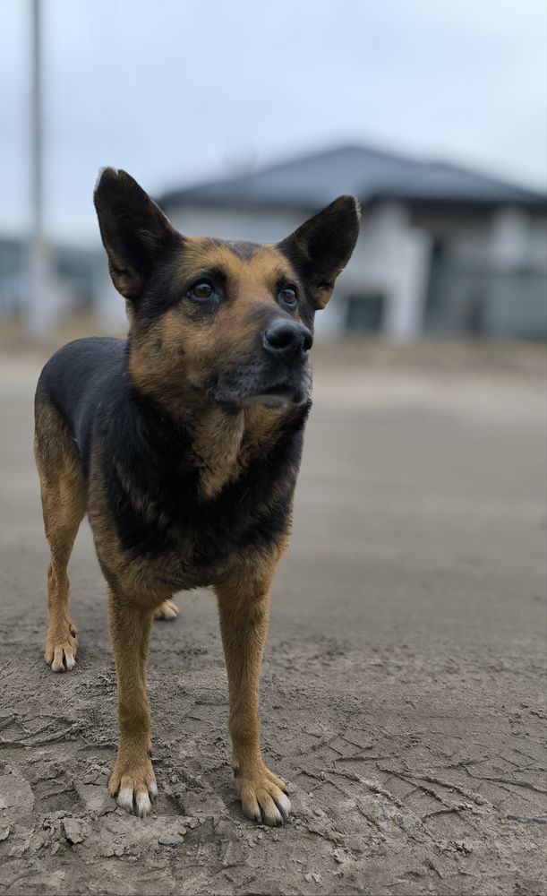 Photograph by Александр Житник