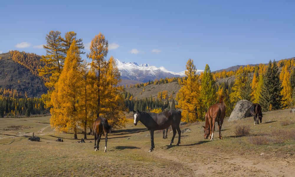 Нам по пути