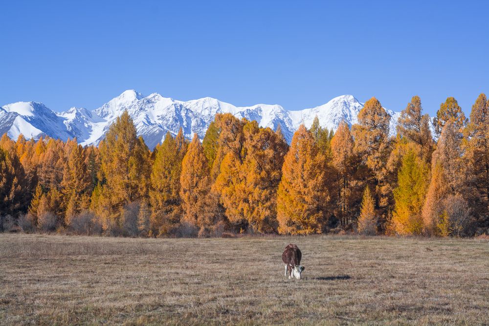 В одиночестве