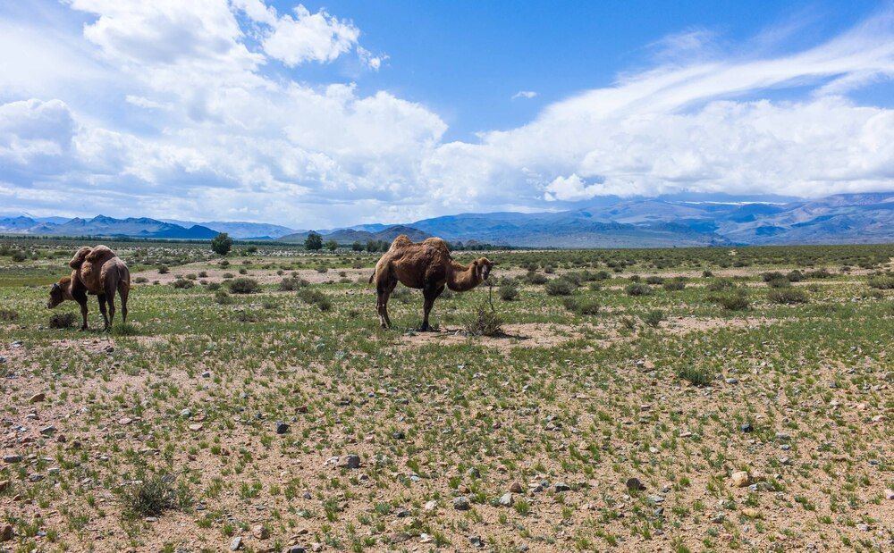 Photograph by Дронов Михаил