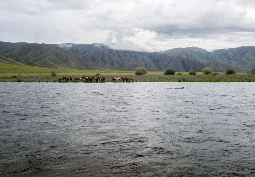 Photograph by Дронов Михаил