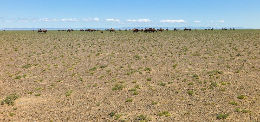 Photograph by Дронов Михаил