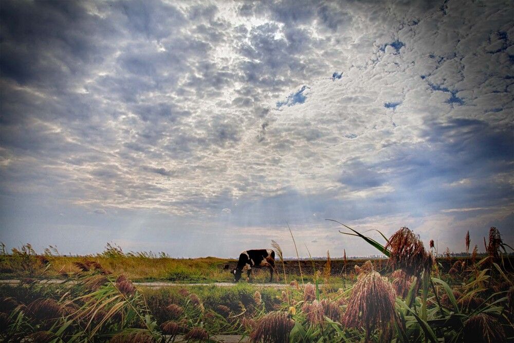 Photograph by Тим Бабурин