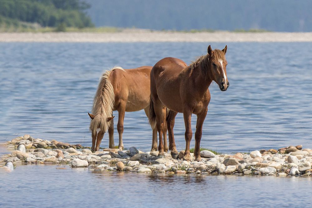Photograph by Koledova Irina