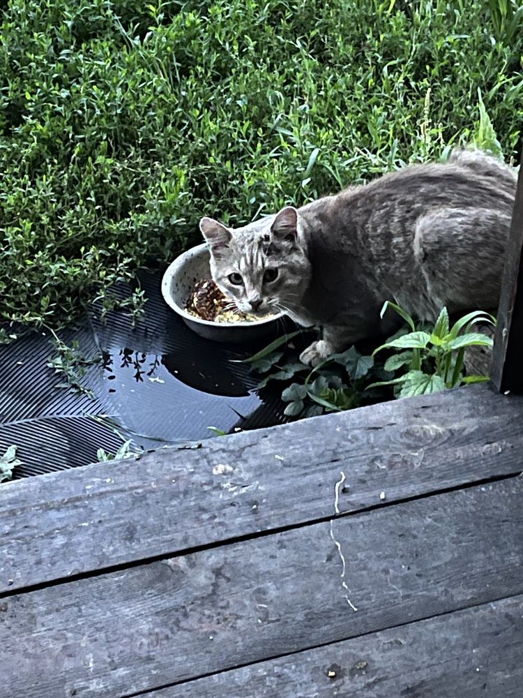 Photograph by Динара Dinara