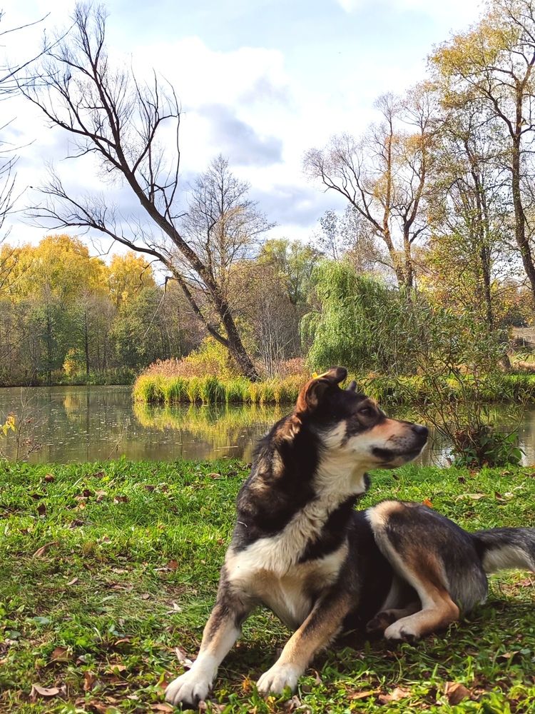 Photograph by Серёга Ануфриев