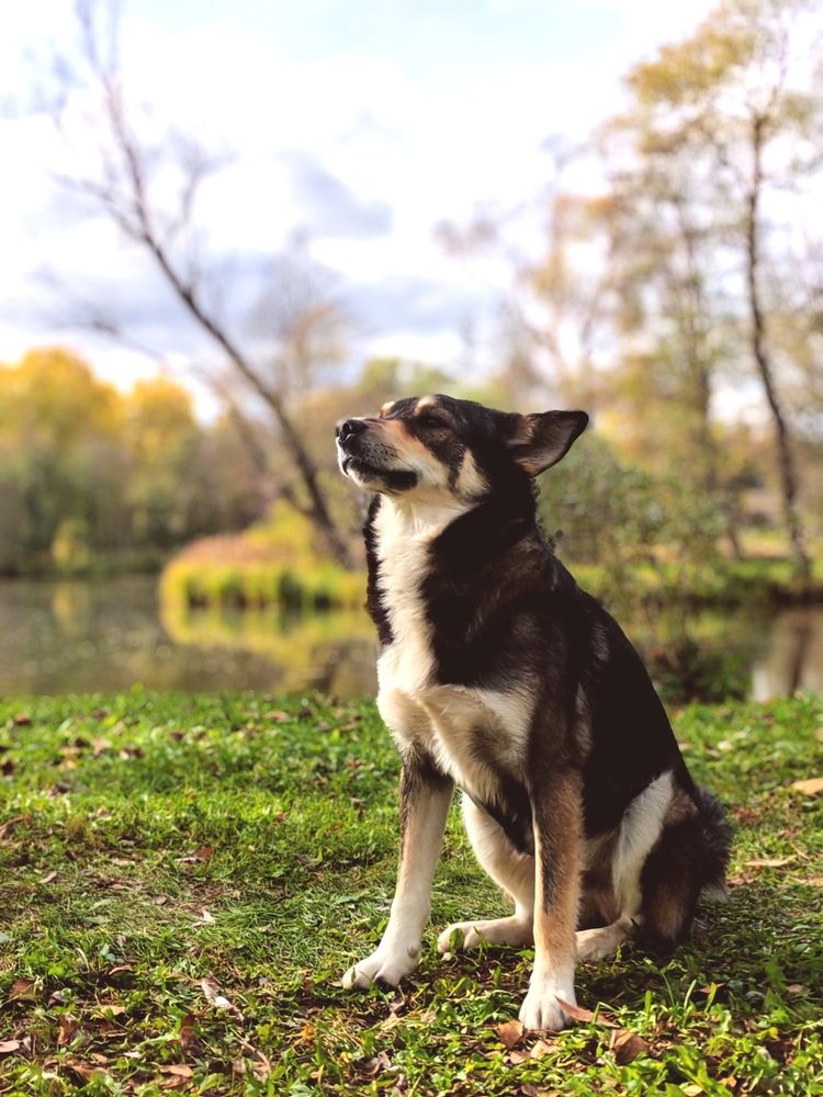 Photograph by Серёга Ануфриев