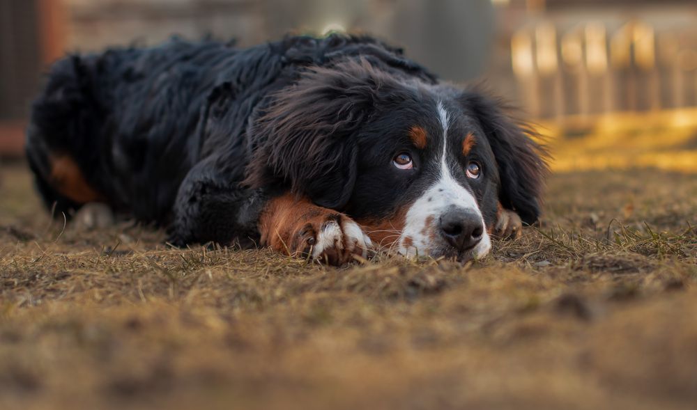 Photograph by Олег Логинов