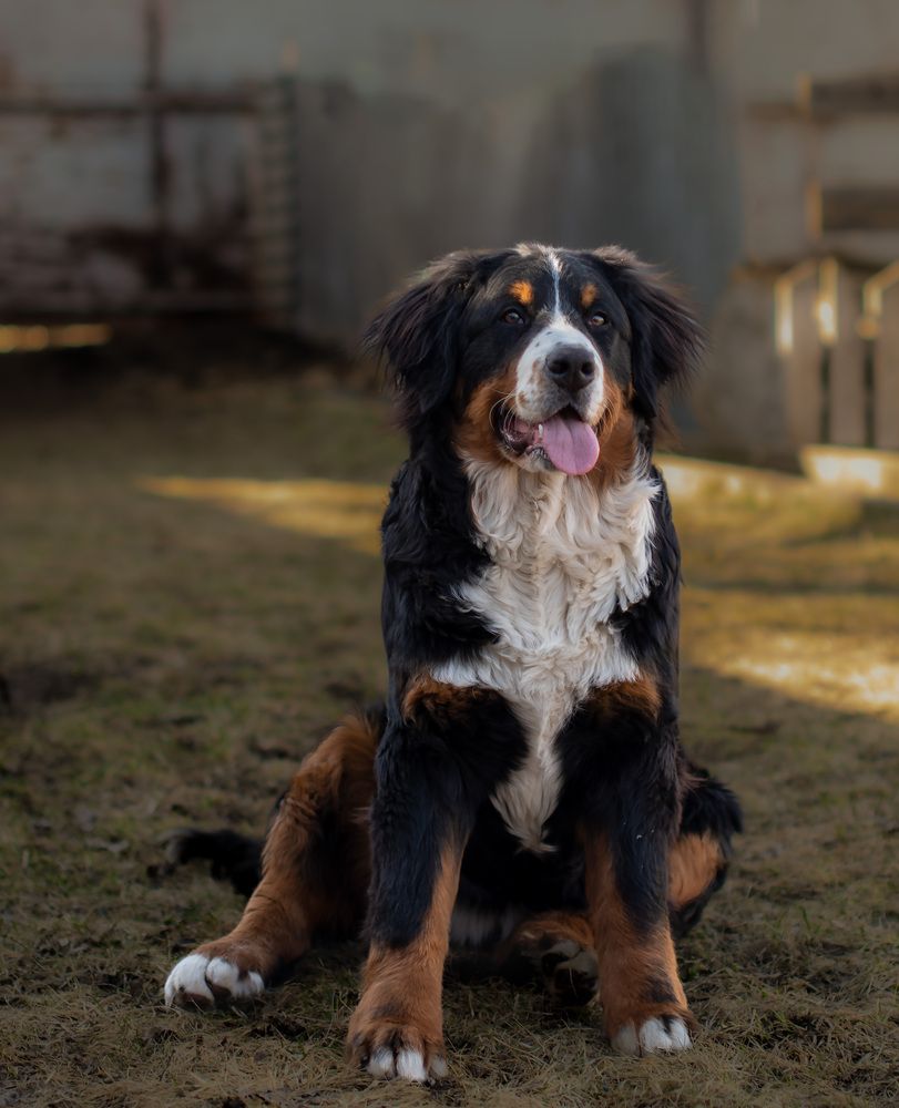 Photograph by Олег Логинов