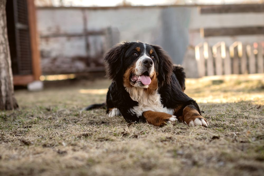 Photograph by Олег Логинов