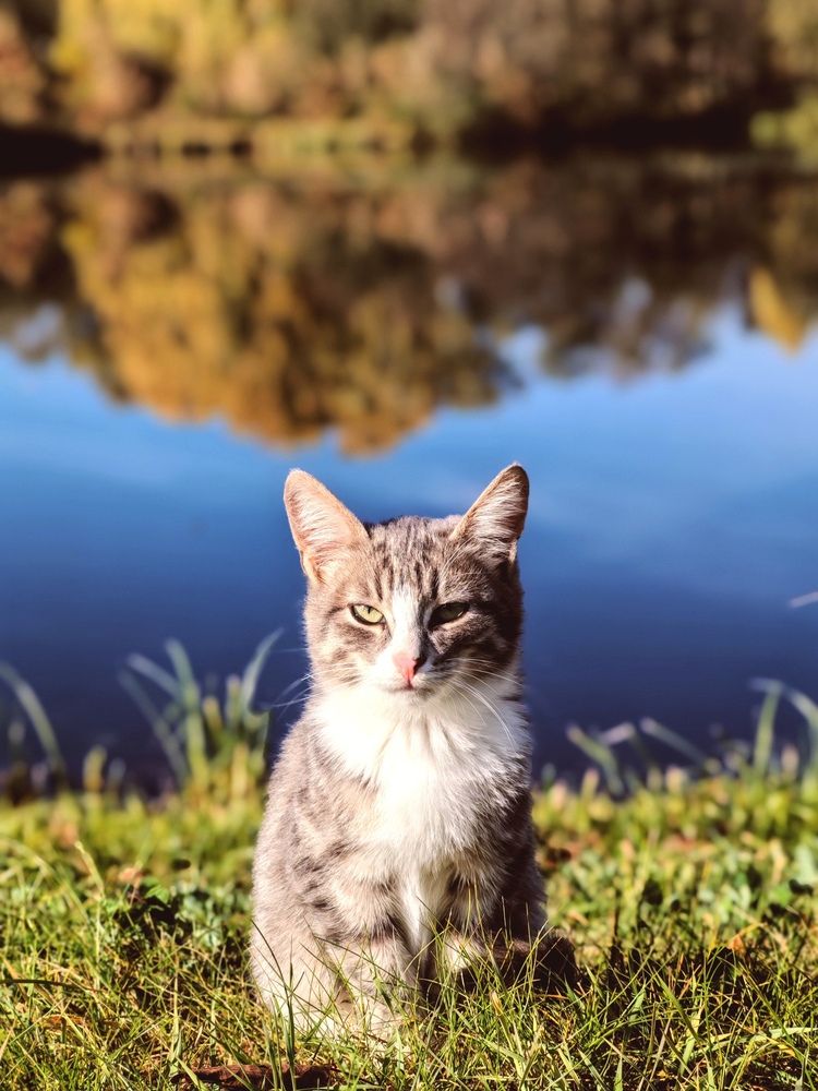 Photograph by Серёга Ануфриев