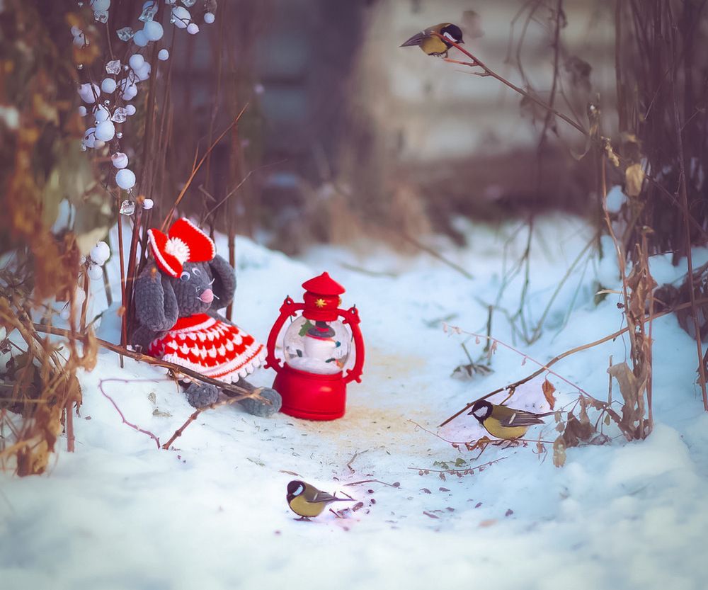 Photograph by Marina Ivanova