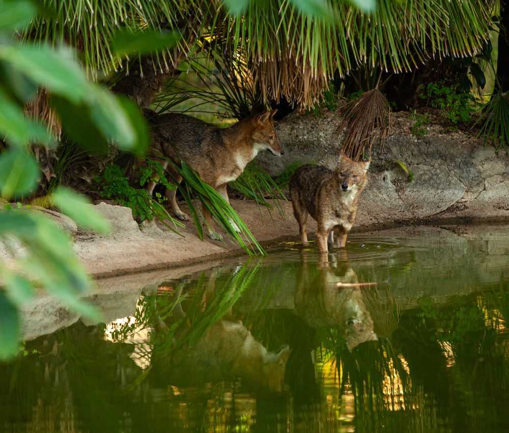 Photograph by Lada Tregubov