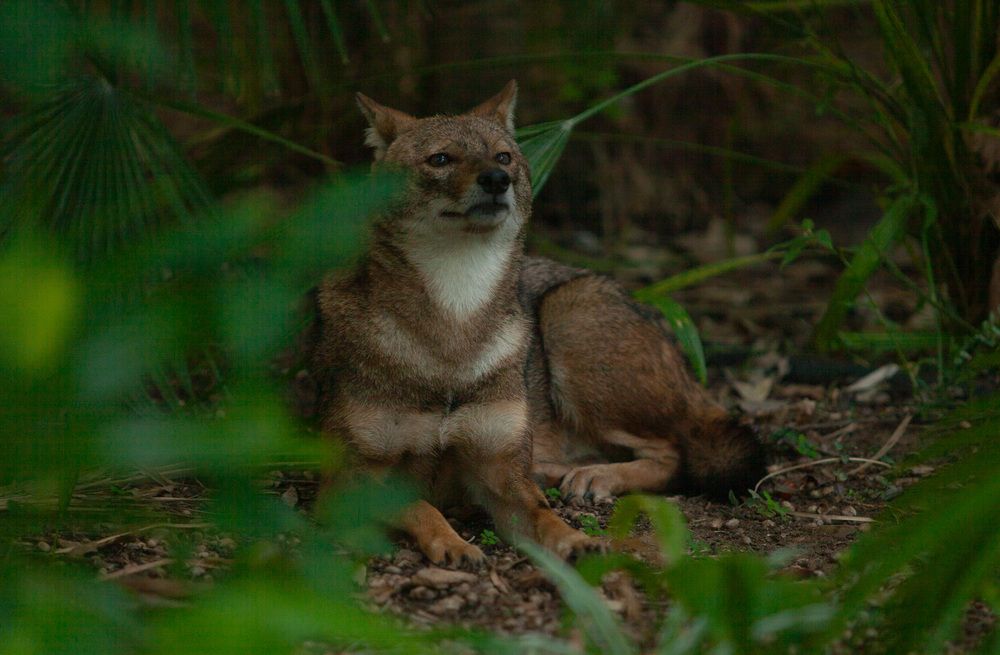 Photograph by Lada Tregubov