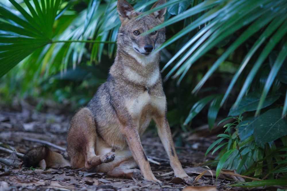 Photograph by Lada Tregubov