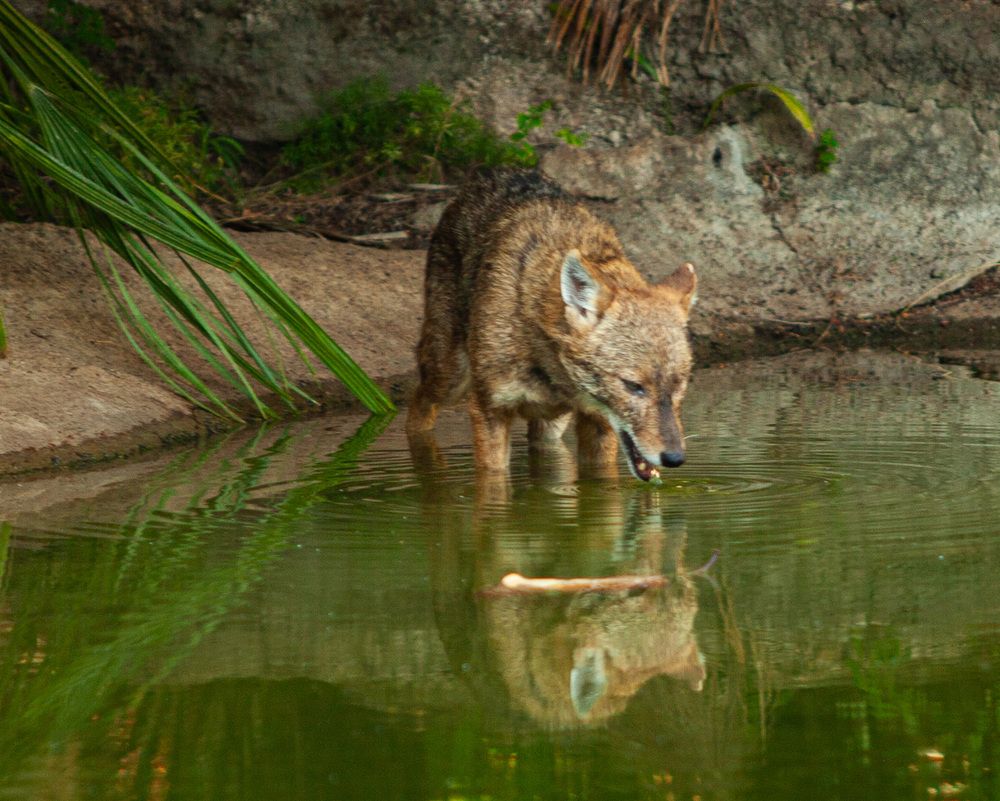 Photograph by Lada Tregubov