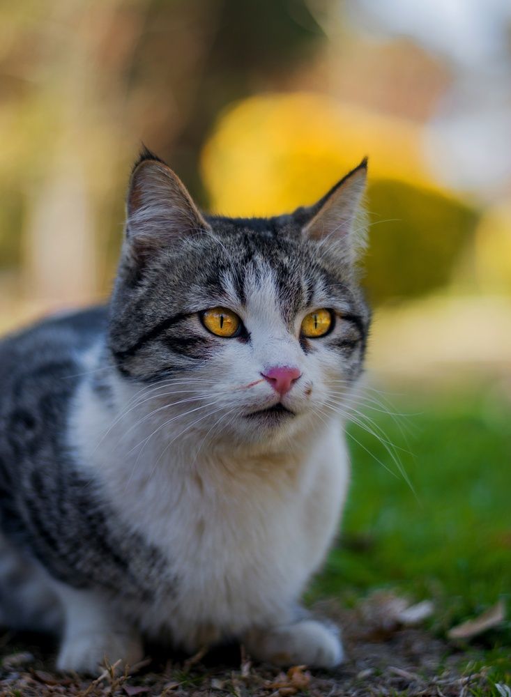 Photograph by zahra salardini