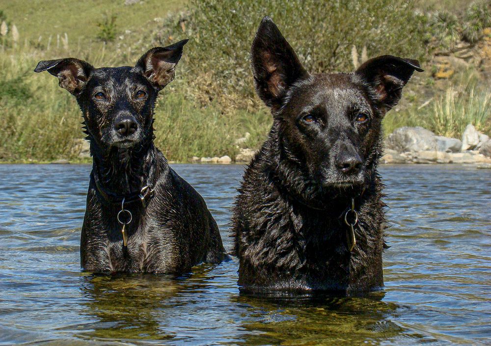 Фотография автора Marina Martorelli