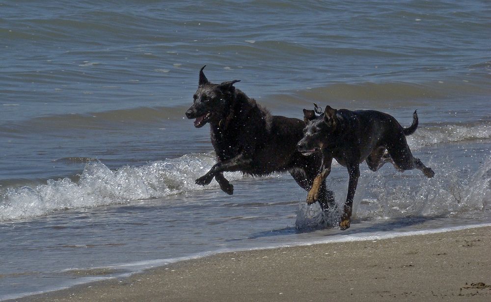 Фотография автора Marina Martorelli