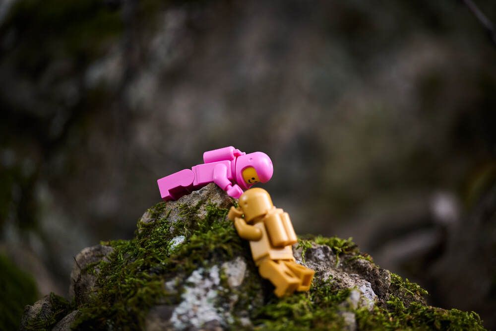 Photograph by Дмитрий Солодухин