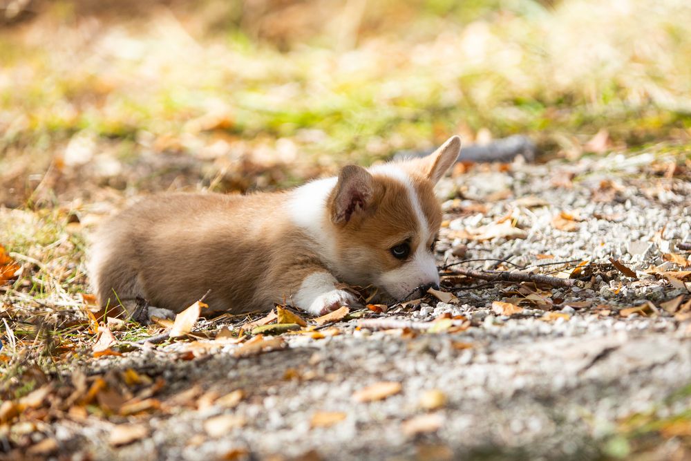 Photograph by Михаил Панфилов