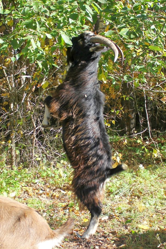 Photograph by Olga Bagaeva