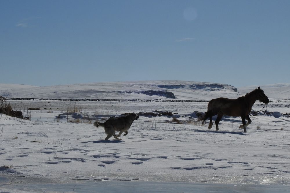 Photograph by fuat cimok