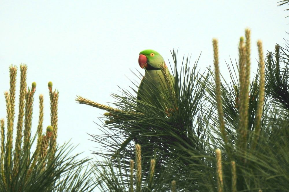 Photograph by fuat cimok