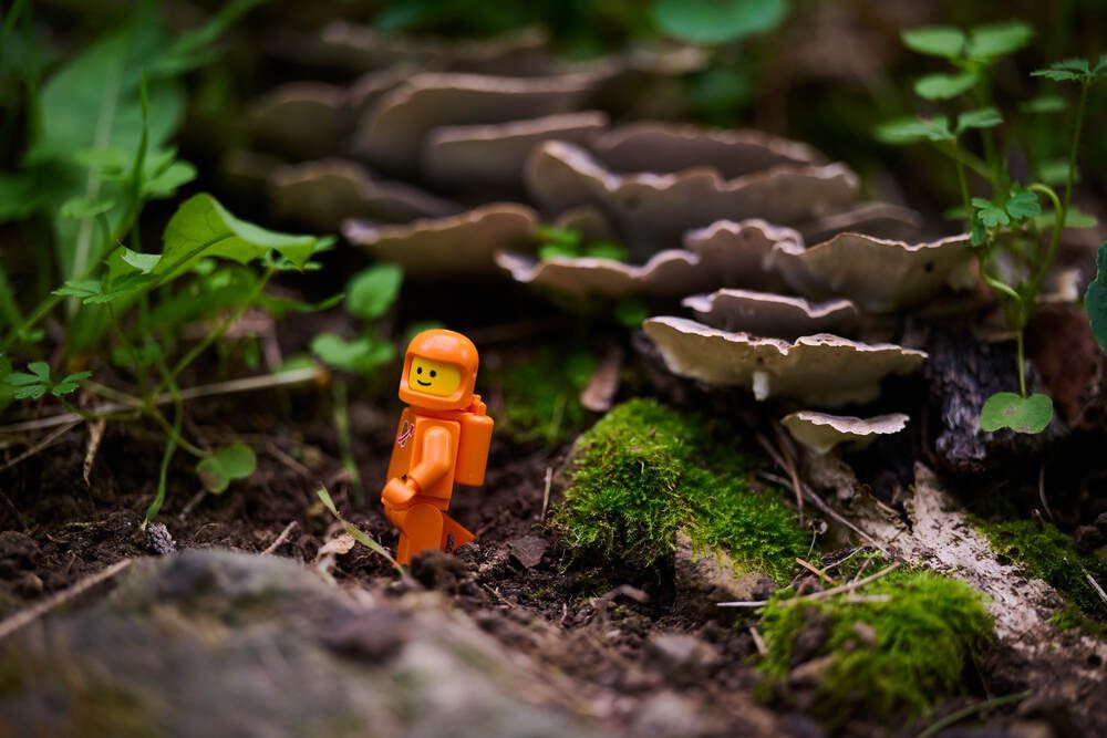 Photograph by Дмитрий Солодухин