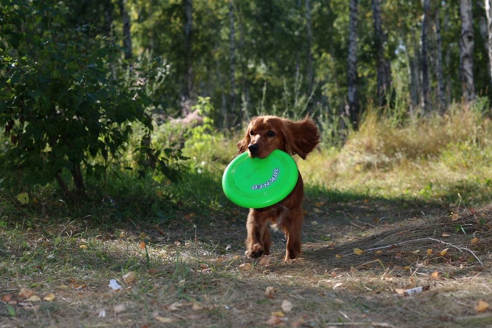 Photograph by Андрей Стародубцев