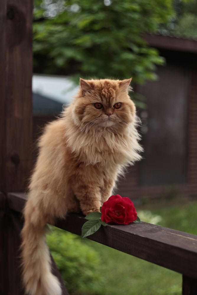 Photograph by Анна