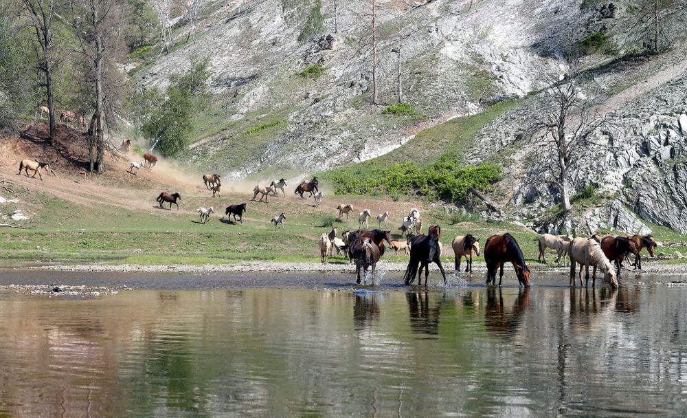 Photograph by Андрей Стародубцев