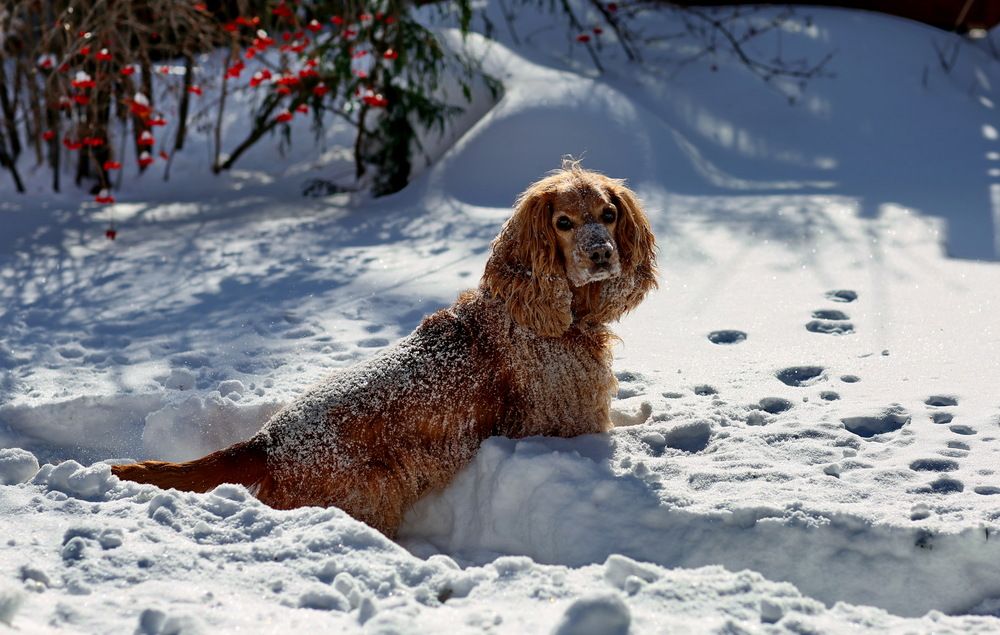 Photograph by Андрей Стародубцев