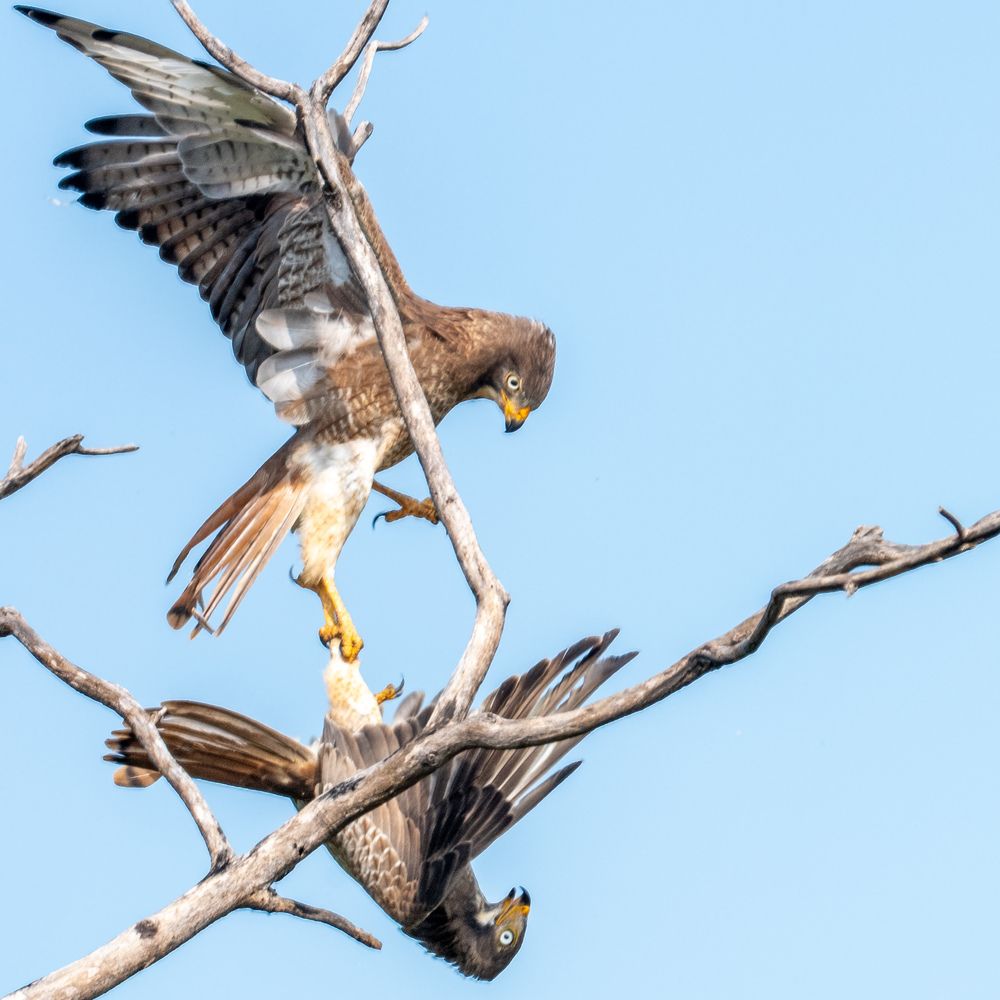 Photograph by Ayan Bhattacharya