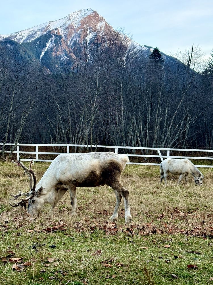 Photograph by Марина Черникова