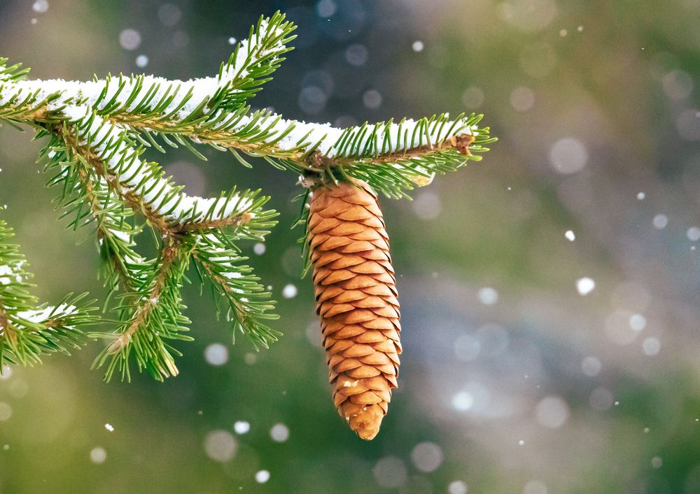 В ожидании чуда