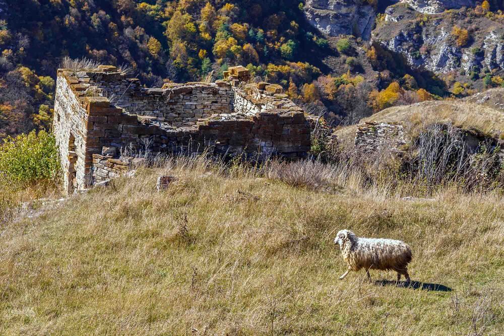 Photograph by Евгений Киселев