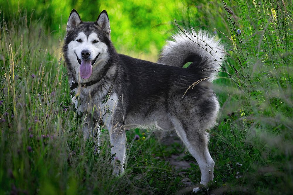 Photograph by Лев Постнов